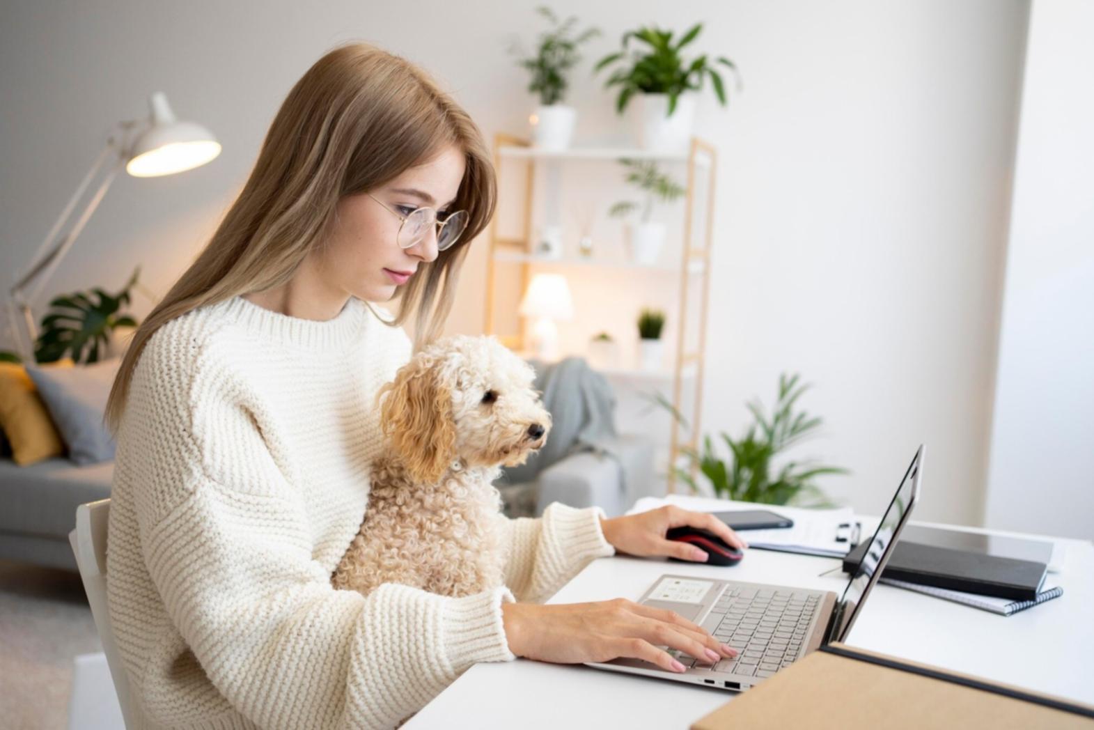 Search intent classification examples